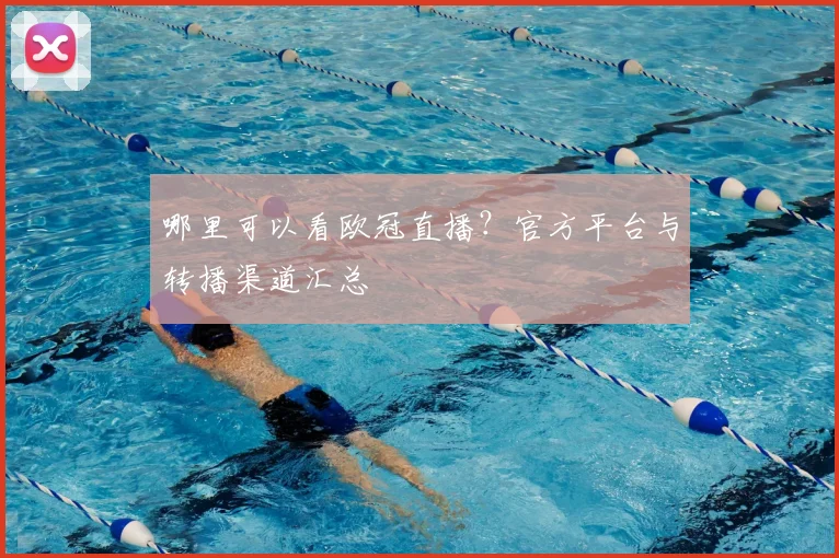 哪里可以看欧冠直播？官方平台与转播渠道汇总